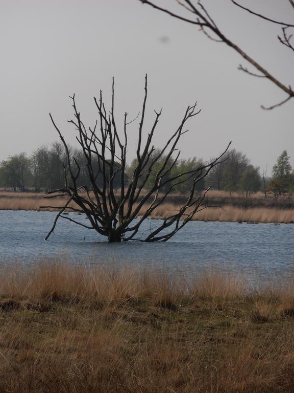Gezond Boeren Verstand Dalerveen Εξωτερικό φωτογραφία